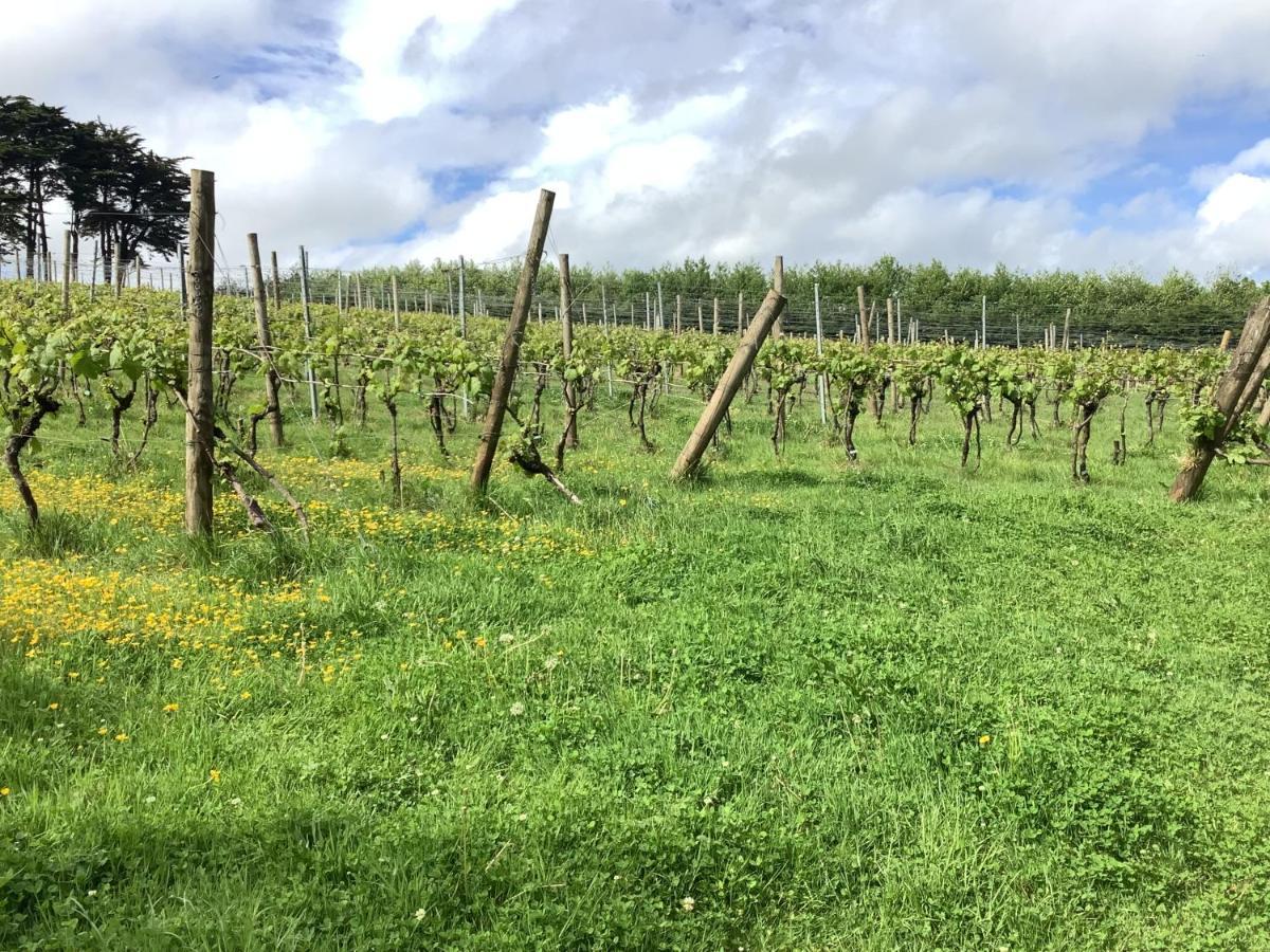 Polgoon Vineyard Annex Penzance Leilighet Eksteriør bilde